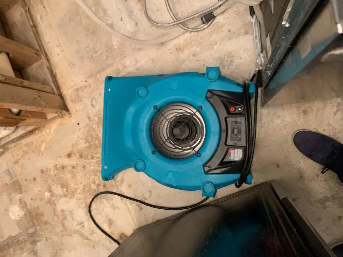 Air mover drying equipment for Mold Remediation & Removal in Rochester